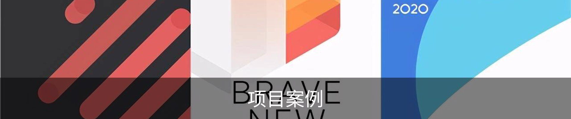 项目案例